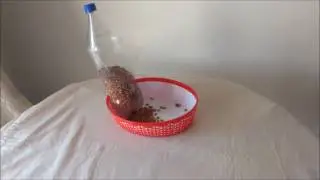 DIY Simple Pet Feeder