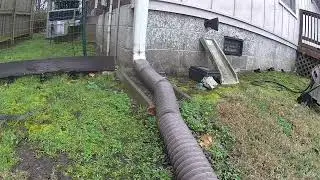 Squirrel trying to open the rat bait box 1/10/2026