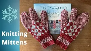 Saltwater Mittens Book Review with a Parrot