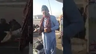Inam Sindhi Sindh ji Samoran quomparast tanzeeman ji agwanan khi aeno(Miror) dekharende || Sindh ||