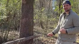 Building My First Lean-To | Primitive Shelter Adventure