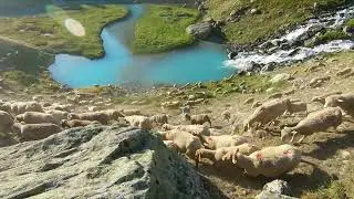 Tour des &Eacute;crins 2024 - GR54 (France, french Alps)
