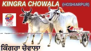 🔴[LIVE] KINGRA CHOWALA (HOSHIARPUR) OX RACE 18 MARCH 2024