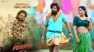 Pushpa Trailer Love Tease | Alluarjun , RashmilaMandana Sunil Anasuya | T-Series.