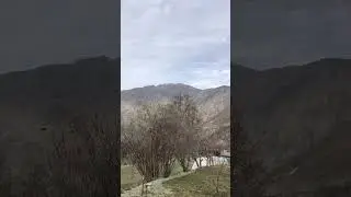 Winter Nature videography: Capturing the Beauty of the Season