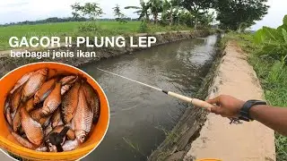 SPOT NYA MERAGUKAN TAPI HASIL NYA DI LUAR DUGAAN || MANCING DI SUNGAI KECIL