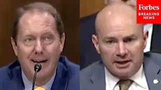 Mike Lee Questions Expert On Antitrust Regulation: Are Our &lsquo;Antitrust Laws Sufficient&rsquo;?