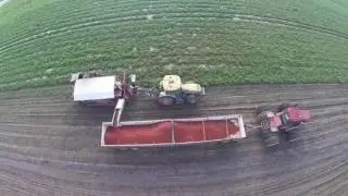 Holloway Farms - Tomato Harvest 2016