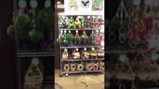 how to set up an awesome Sugar Glider Cage!