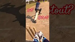 Fastest Stumping Wicket Keeper 👏 || Wicket Keeping Tips 👌 #cricket #shots #shorts