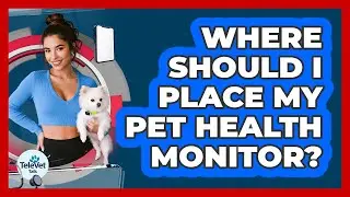 Where Should I Place My Pet Health Monitor?