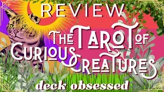Review: The Tarot of Curious Creatures, a Whimsical, Fun, & Humorous Animal Card Deck by Chris Anne