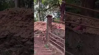 Goa ka sabse khoobsurat hidden waterfall 😍🌿 #shorts #goa #goatrip