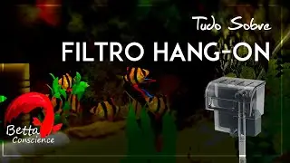 Tudo Sobre Filtro Hang-on 
