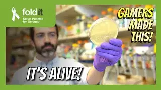 From DNA to protein (Part 2) &ndash; Lab Report 35