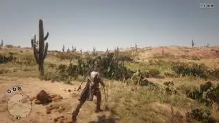 Red Dead Online - Met cheater on the road