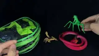 Animals Figure/ Animal Toys/ spider/ snake /scorpion/lizard/dragonfly#satisfying #toys 