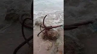 Grapnel Anchor