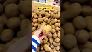 Как милооооо😍😍😍