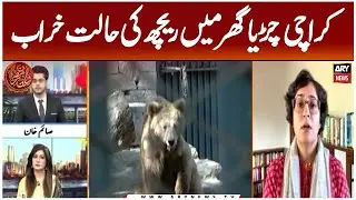 Bear in Critical Condition at Karachi Zoo - Karachi Zoo Animals Situation