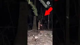 call re Mita Bhoot new Buddha menawa