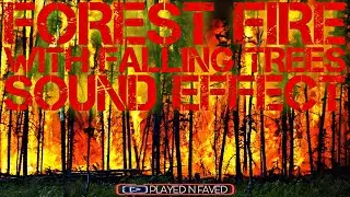 Forest Fire With Falling Trees Sound Effect | Tree Falling With Fire Ambience Sounds | Royalty Free