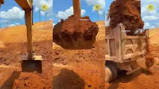 How To Excavators Load Soil Onto Trucks Professionally P1599