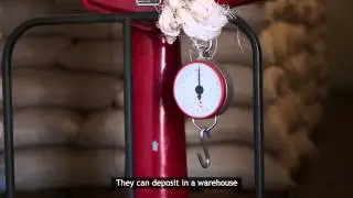 USAID Works with Agricultural Commodity Exchange to Increase Warehouse Facilities in Malawi (ASIF)