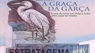 ESTRATAGEMA DE DEUS- NASCI PROFETA - A GRAÇA DA GARÇA.
