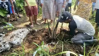 🔴 LIVE - Batas Sabar Warga Habis, Tanaman Sawit di Bukit Cigobang Cirebon Dicabut Ramai-ramai