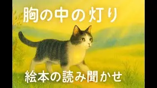 （読み聞かせ）猫の絵本「胸の中の灯り」