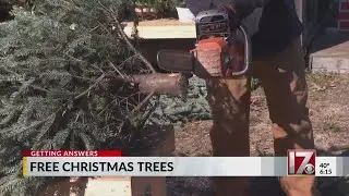Some Triangle stores giving away trees as Christmas approaches