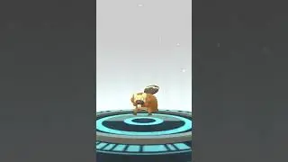 [Pokemon GO] Evolving Bidoof into a 89% Bibarel! #pokemon #pokemongo #bidoof #bibarel #evolution