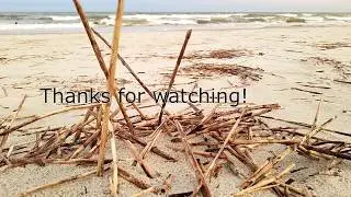 Metal Detecting Beaches and Wet Sand With The XP Deus