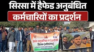 सिरसा में हैफेड अनुबंधित कर्मचारियों का प्रदर्शन, नौकरी सुरक्षा और अधिकारों की उठाई मांग