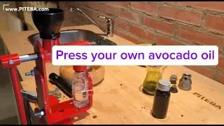 Как сделать масло из авокадо? Отжимаем дома с помощью пресса PITEBA