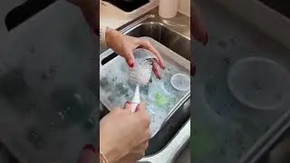 One Step Sterilizer + Dryer Advanced