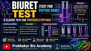 Biuret Test (Test for peptide bond)