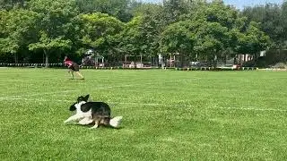 Flare ~ 2025 Skyhoundz Classic MicroDog Qualifier