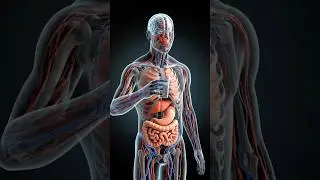 Water Challenge  for 30 days&mdash; What Your Body Actually Does #shorts #health #transformation