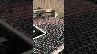 Precept Wine - Depalletizer, Mass Flow Conveyor, Single File Conveyor Ionized Empty Can Rinse