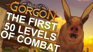 Project: Gorgon - The First 50 Levels of Combat