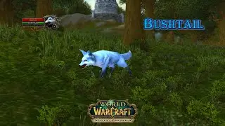 World of Warcraft - Bushtail Rare (Tameable)