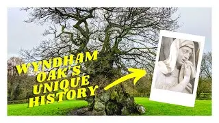 STEP INSIDE A 1000 YEAR OLD HOLLOW OAK TREE | Judge Wyndham's Oak 🇬🇧