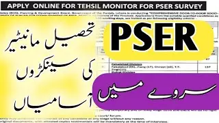 Tehsil monitor jobs 2025 || pser Tehsil monitor job || new pakistani jobs || Pser jobs online apply