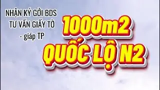 MĂT TIỀN QUỐC LỘ N2 HỰU THANH ĐỨC HOA LONG AN 