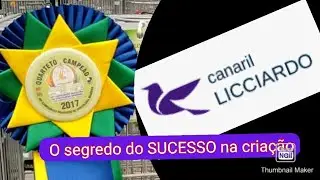 O segredo do SUCESSO na cria&ccedil;&atilde;o - canaril Licciardo