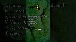 5 Important Questions on Respiration in Plants | Class 11 Biology | Bio Vista