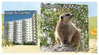 Official Pest Control Madera CA 559-248-1155 Madera County Rodent Mice Removal 93638