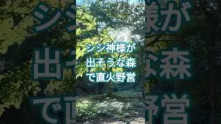 シシ神様が出そうな森で完ソロ直火野営